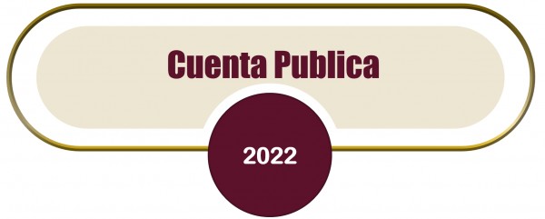 Cuenta Publica Anual 2022